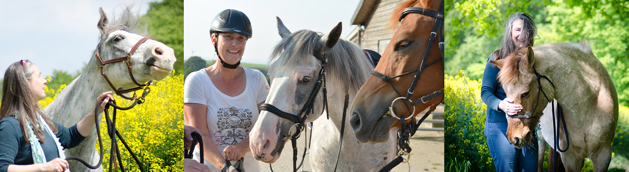 Pferd und Mensch als Team