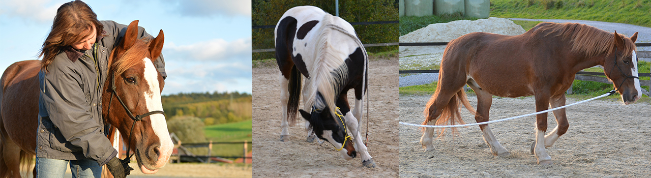 The Gentle Touch Dortmund