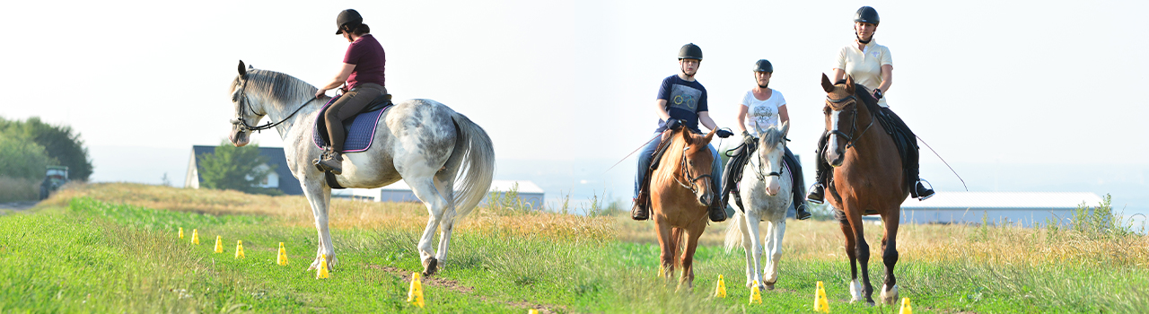 Reitunterricht Gelände